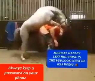 Michael Hanley horse video porn